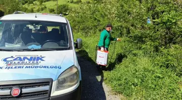 Canik'te Kokarca'ya Karşı Mücadelede Atak