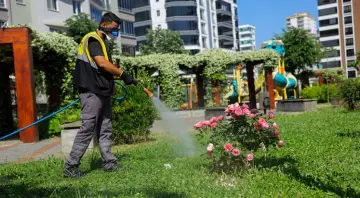 Samsun'da Büyükşehir'den Vektör Mücadelesi